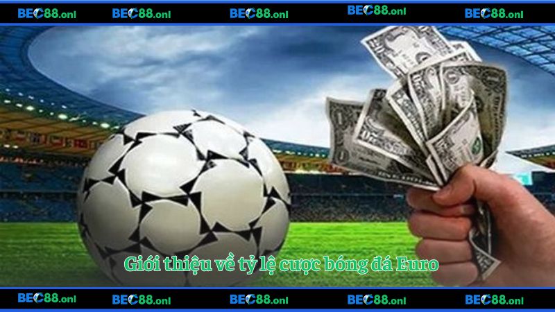 Hiểu biết cơ bản về tỷ lệ kèo bóng Euro