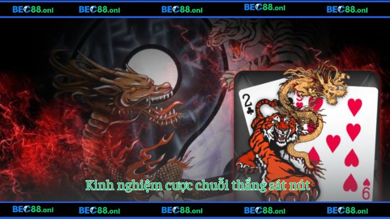 Chia sẻ kinh nghiệm chơi Rồng Hổ online chuỗi thắng sát nhau