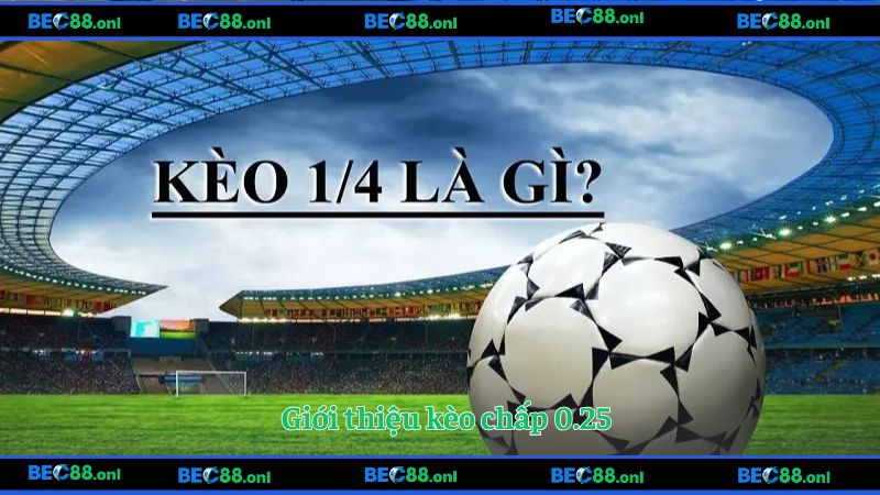 Giới thiệu kèo chấp 0.25