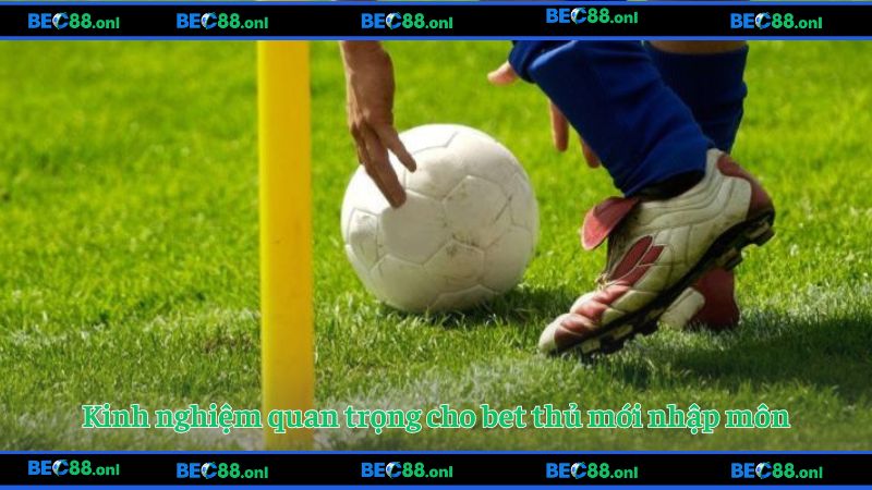 Kinh nghiệm quan trọng cho bet thủ mới nhập môn