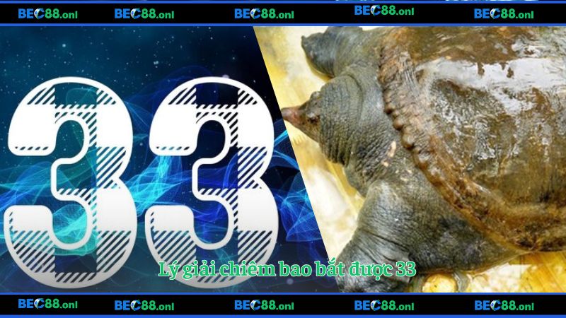 Lý giải chiêm bao bắt được 33