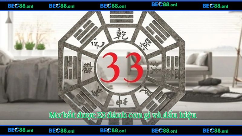 Mơ bắt được 33 đánh con gì và dấu hiệu