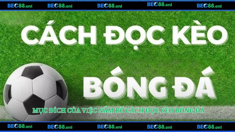 Mục đích của việc nắm rõ cách đọc kèo bóng đá 