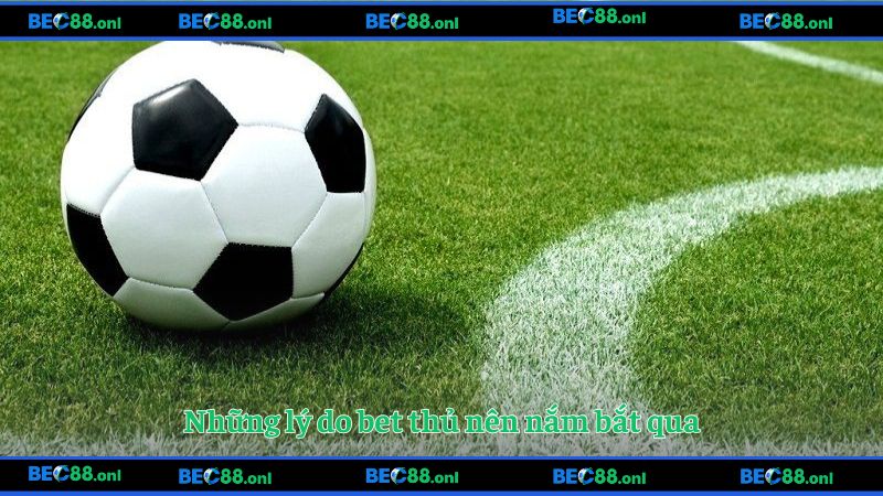 Những lý do bet thủ nên nắm bắt qua
