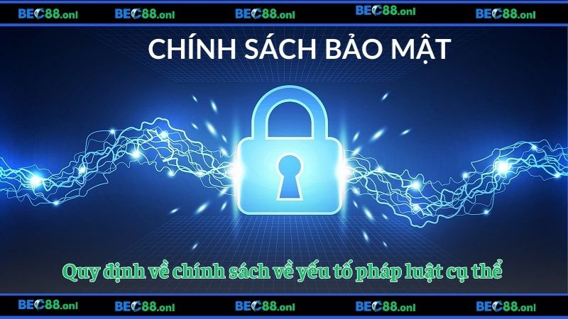 Quy định về chính sách về yếu tố pháp luật cụ thể