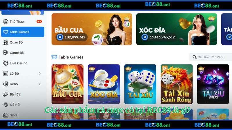 Trang web cung cấp các loại hình giải trí nào?