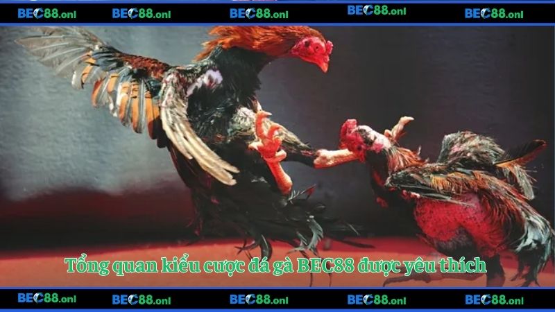 Tổng quan kiểu cược đá gà BEC88 được yêu thích