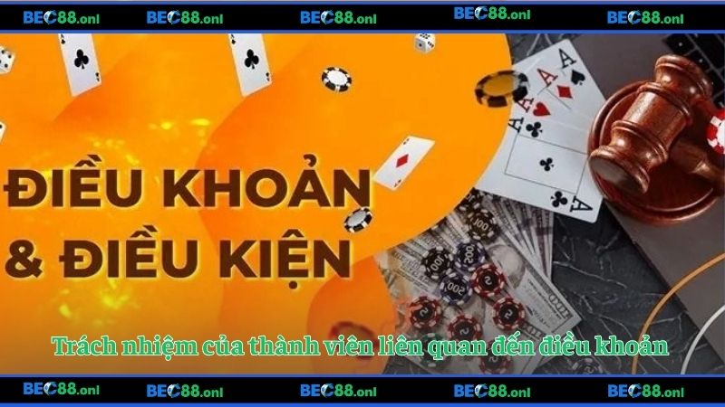 Trách nhiệm của thành viên liên quan đến điều khoản
