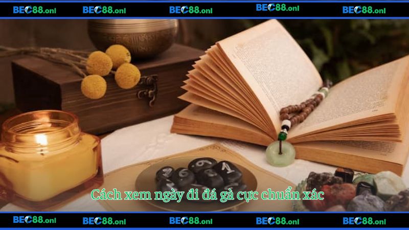 Cách xem ngày đi đá gà cực chuẩn xác