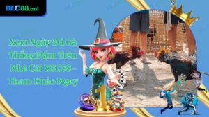 Xem Ngày Đá Gà Dễ Ăn Đậm Trên Nhà Cái BEC88 - Thử Ngay